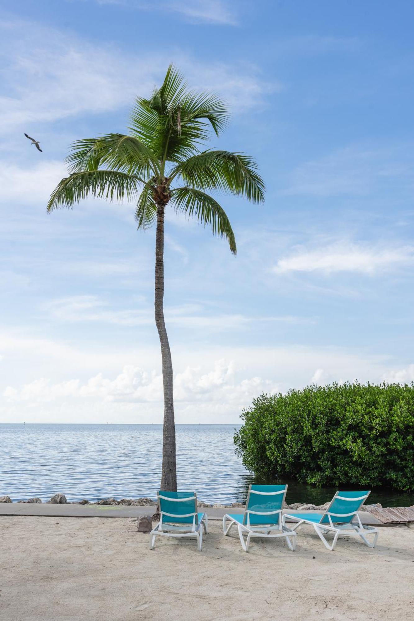 Fisher Inn Resort & Marina Islamorada Bagian luar foto